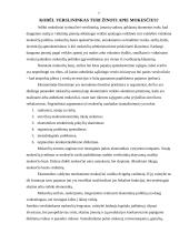 Nemokios įmonės ir bankrotas Lietuvoje šiandien 7 puslapis