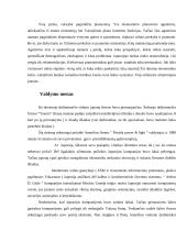 Japoniškosios vadybos bruožai 13 puslapis