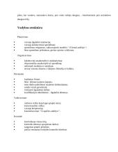 Japoniškosios vadybos bruožai 4 puslapis