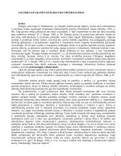 Jaunimo socialinės integracijos optimizavimas