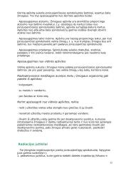 Jonizuojantys spinduliai ir jų pavojus organizmui 12 puslapis