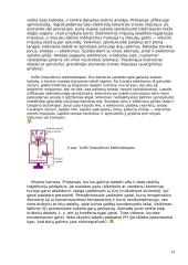 Jonizuojantys spinduliai ir jų pavojus organizmui 14 puslapis