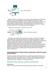Jonizuojantys spinduliai ir jų pavojus organizmui 15 puslapis