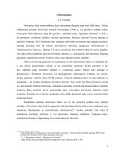 Jungtinių Amerikos Valstijų (JAV) kova su terorizmu 3 puslapis