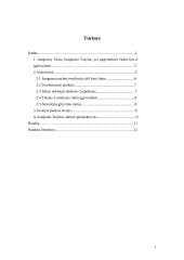 Jungtinių tautų organizacijos (JTO) saugumo tarybos priimtų sprendimų efektyvumas 2 puslapis