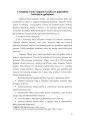 Jungtinių tautų organizacijos (JTO) saugumo tarybos priimtų sprendimų efektyvumas 4 puslapis