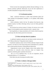 Jungtinių tautų organizacijos (JTO) saugumo tarybos priimtų sprendimų efektyvumas 8 puslapis