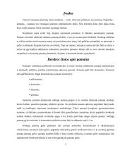 Juostiniai pamatai 2 puslapis