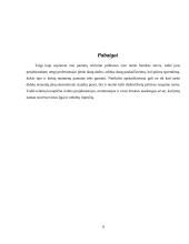 Juostiniai pamatai 11 puslapis