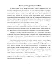 Juostiniai pamatai 5 puslapis