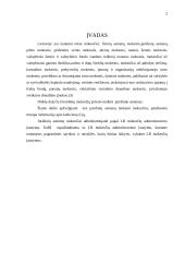 Juridinių asmenų mokesčiai 2 puslapis