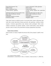 Kaimo turizmo samprata, organizavimas bei plėtra 6 puslapis