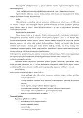 Kaimo turizmo projektas: sodyba "Žalioji giraitė" 15 puslapis