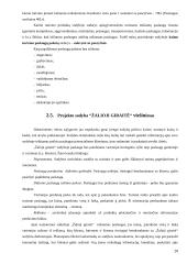 Kaimo turizmo projektas: sodyba "Žalioji giraitė" 20 puslapis