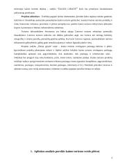 Kaimo turizmo projektas: sodyba "Žalioji giraitė" 3 puslapis