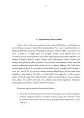 Kainodara monopolinėje rinkoje 12 puslapis