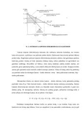 Kainodara monopolinėje rinkoje 14 puslapis
