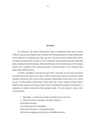 Kainodara monopolinėje rinkoje 18 puslapis