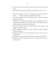 Kainodara monopolinėje rinkoje 19 puslapis