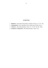 Kainodara monopolinėje rinkoje 20 puslapis