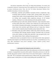 Kainodara monopolinėje rinkoje 5 puslapis