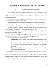 Kainodaros organizavimas: alkoholinių gėrimų gamyba AB "Alita" 3 puslapis