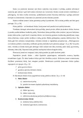 Kainodaros organizavimas: alkoholinių gėrimų gamyba AB "Alita" 7 puslapis