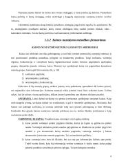 Kainodaros organizavimas: alkoholinių gėrimų gamyba AB "Alita" 10 puslapis