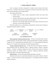 Kainos samprata ir reikšmė 3 puslapis