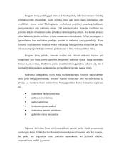 Kainų politika ir nustatymas 8 puslapis