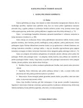 Kainų politika: AB "Rokiškio sūris" 3 puslapis