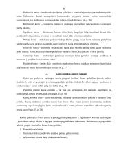 Kainų politika: AB "Rokiškio sūris" 6 puslapis