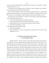 Kainų politika: AB "Rokiškio sūris" 10 puslapis