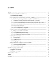 Ekonomikos ekvalentiškumo sąvoka