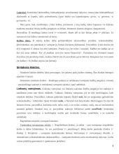 Kalbos kultūros problemos XXI amžiuje 8 puslapis