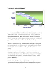 Kapitalo finansavimo šaltiniai. Kapitalo kaina 12 puslapis