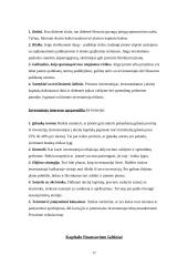 Kapitalo finansavimo šaltiniai. Kapitalo kaina 17 puslapis