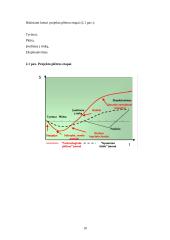 Kapitalo finansavimo šaltiniai. Kapitalo kaina 10 puslapis
