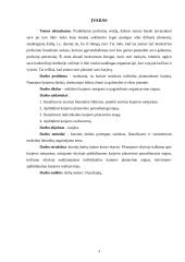 Karjeros  samprata ir organizavimo etapai 3 puslapis