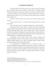 Karjeros  samprata ir organizavimo etapai 4 puslapis