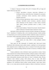 Karjeros  samprata ir organizavimo etapai 10 puslapis