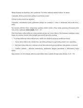 Kas yra rinka ir kaip ji atsiranda? 13 puslapis