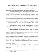 Ekonomikos kaštai 2 puslapis