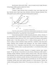 Ekonomikos kaštai 3 puslapis