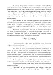 Ekonomikos kaštai 4 puslapis