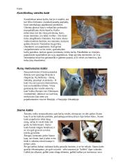 Kačių veislės 7 puslapis