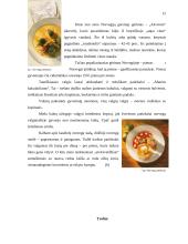 Kelionės organizavimas po Norvegiją 11 puslapis