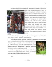 Kelionės organizavimas po Norvegiją 12 puslapis