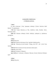 Kelionės organizavimas po Norvegiją 15 puslapis