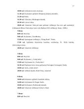 Kelionės organizavimas po Norvegiją 16 puslapis